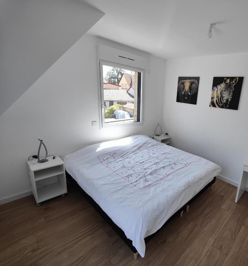 Appartement 48M², Strasbourg Centre A 15 Min En Train Fegersheim Buitenkant foto